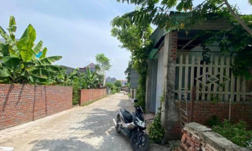 Nhà đầu tư kỳ cựu chỉ cách đầu tư “bách chiến, bách thắng” khi chỉ có vốn 300 triệu đồng