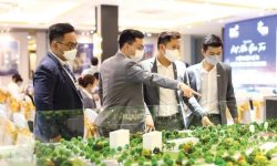 Nhà đầu tư trong và ngoài nước có vốn mạnh tận dụng thời cơ để đẩy nhanh quá trình thẩm định, đàm phán và giao dịch.