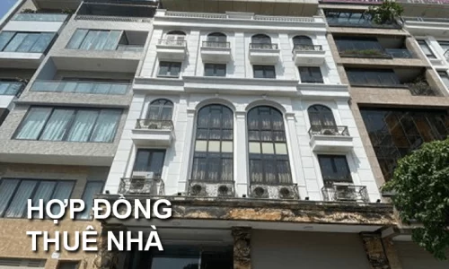 Mẫu Hợp Đồng Thuê Nhà Ở Cá Nhân Và Công Ty Năm 2023