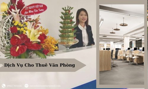 M.Office – Nền tảng Văn Phòng Chia Sẻ Hiện Đại Cho Doanh Nghiệp