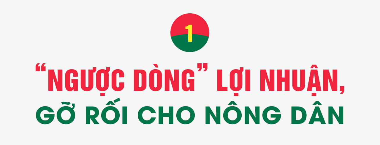 Phân bón Cà Mau: “Ngược dòng” để bứt phá - Ảnh 2.