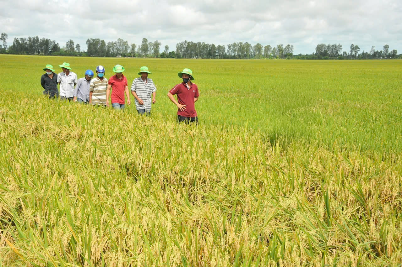 Bứt lên phía trước bằng nông nghiệp xanh - Ảnh 1.