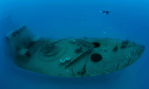 Cách tàu đắm của Thái Lan ‘cứu’ quần thể sinh vật biển – Báo VnExpress