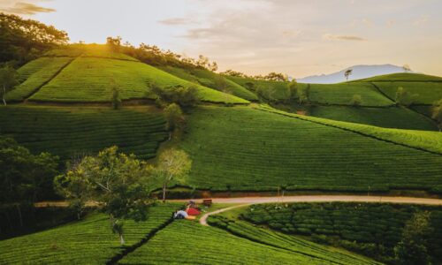 Đẩy mạnh phát triển du lịch xanh tại xã miền núi Long Cốc