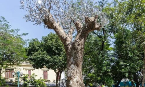 Mở rộng quảng trường bằng chiều sâu văn hóa