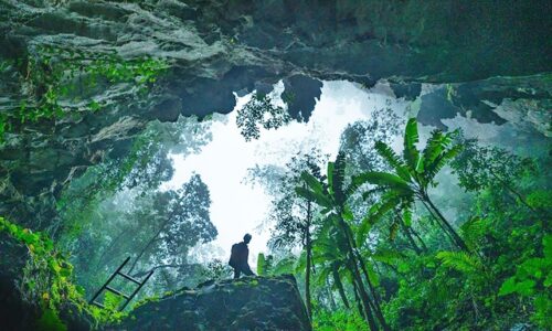 Ngành văn hóa thi đua yêu nước