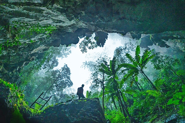 Ngành văn hóa thi đua yêu nước - Ảnh 1.