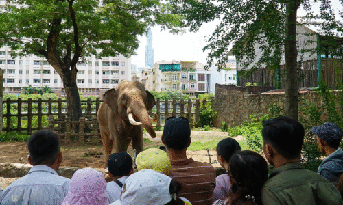 Thảo Cầm Viên lãi gần 5 tỷ đồng