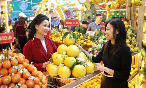 Ấn tượng vẻ đẹp vùng cây ăn quả của Bắc Ninh