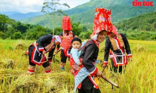 Khai thác giá trị văn hóa dân tộc để xây dựng thương hiệu du lịch cộng đồng Bình Liêu