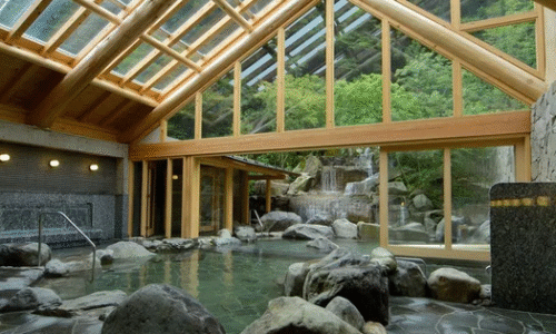 Một liệu pháp cân bằng thân tâm trí, nâng cao tuổi thọ, kéo dài sức khoẻ mà người Nhật áp dụng | Dự án | Tài Chính