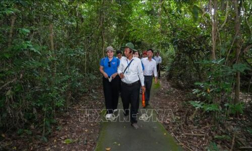 Di tích Căn cứ Trung ương Cục miền Nam: Điểm tựa ký ức và niềm tin