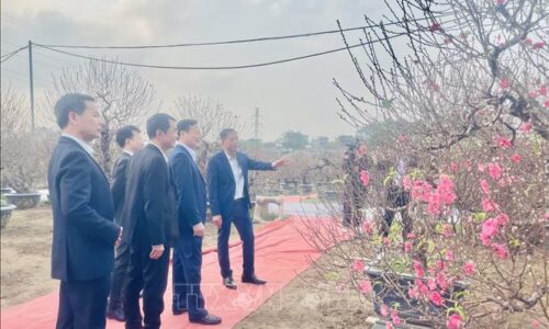 Lễ hội ‘Đào Nhật Tân – Sắc xuân Hồng Hà’: Tôn vinh giá trị làng nghề nổi tiếng đất Kinh kỳ