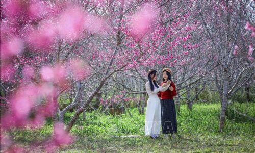 Tín hiệu tích cực của du lịch Điện Biên đầu năm 2026