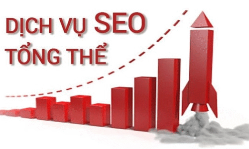 Khám phá dịch vụ SEO tổng thể tại DanaSEO giúp tăng trưởng traffic và doanh thu | Số hóa | Tài Chính