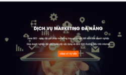 Tiết kiệm chi phí với dịch vụ chăm sóc website chuyên nghiệp từ DanaSEO | Số hóa | Tài Chính