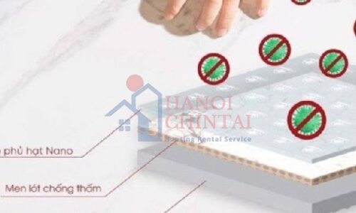 Chọn gạch cho nhà của bạn | Vật tư | Tài Chính