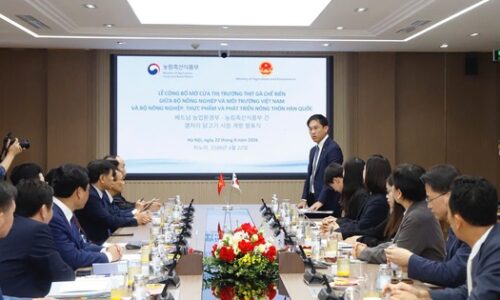 Thêm cơ hội cho thịt gà chế biến Việt Nam tại thị trường Hàn Quốc | Doanh nhân | Tài Chính